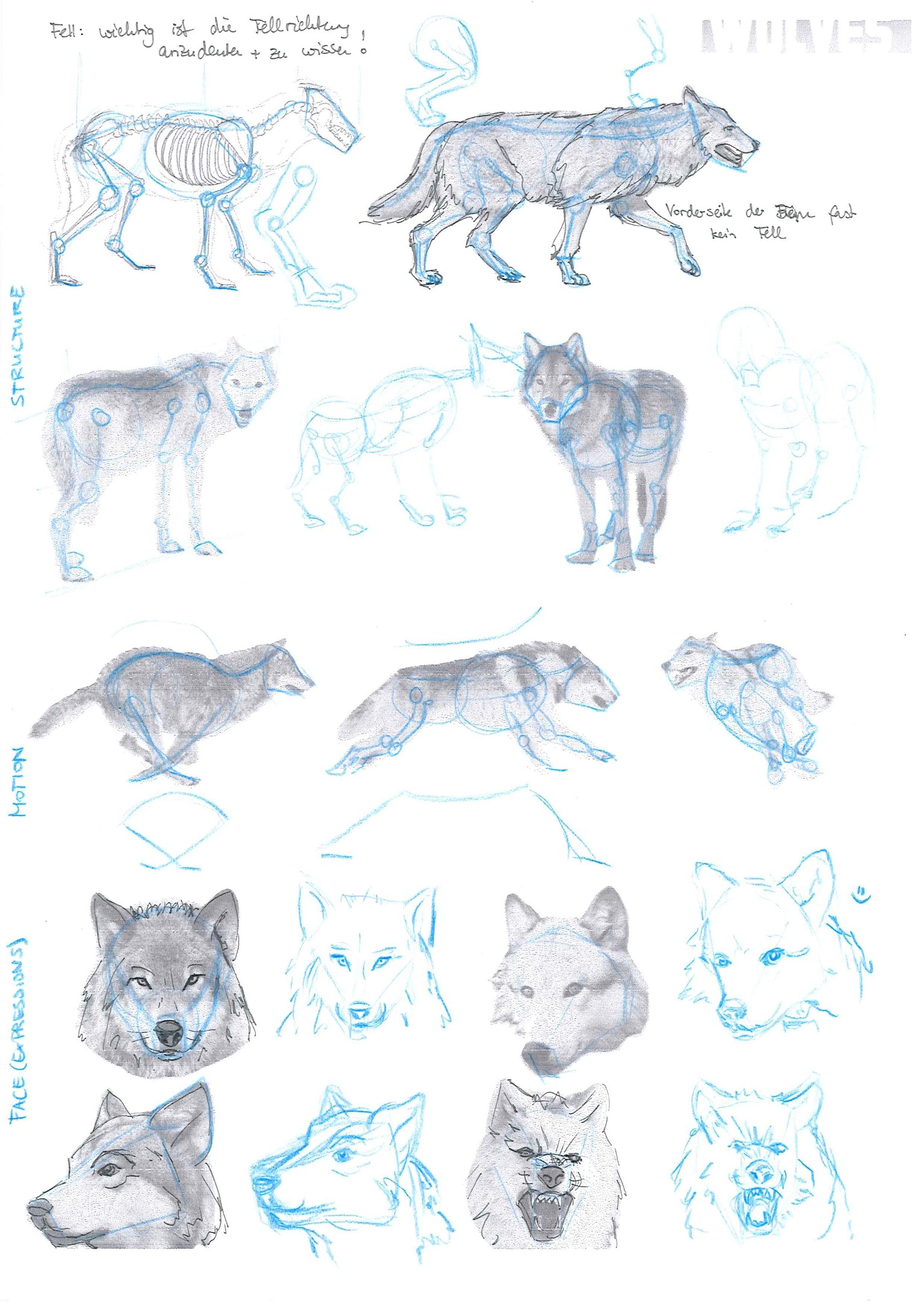 How to draw animals - image 1 - student project