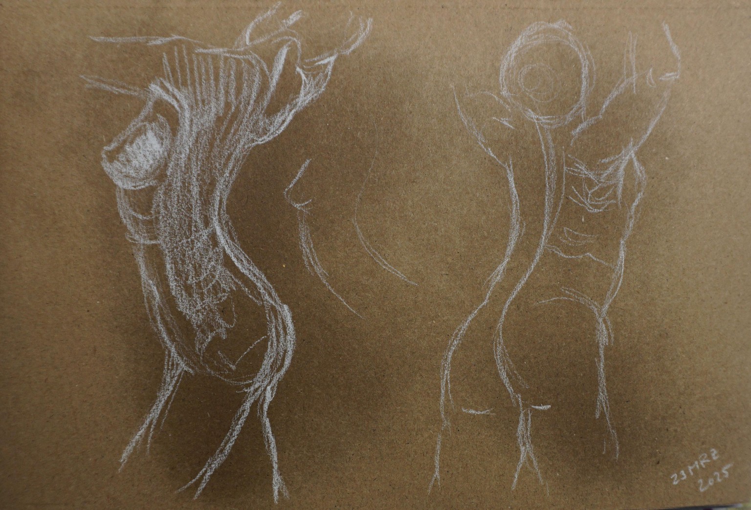 Drawing the Torso - image 2 - student project