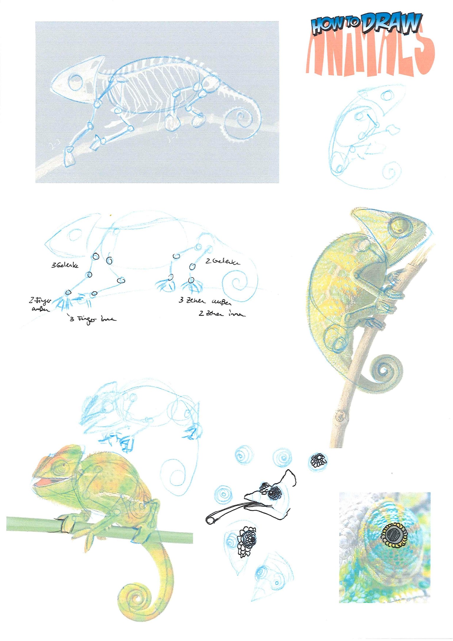How to draw animals - image 11 - student project