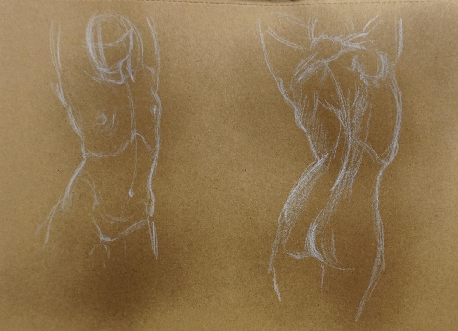 Drawing the Torso - image 1 - student project