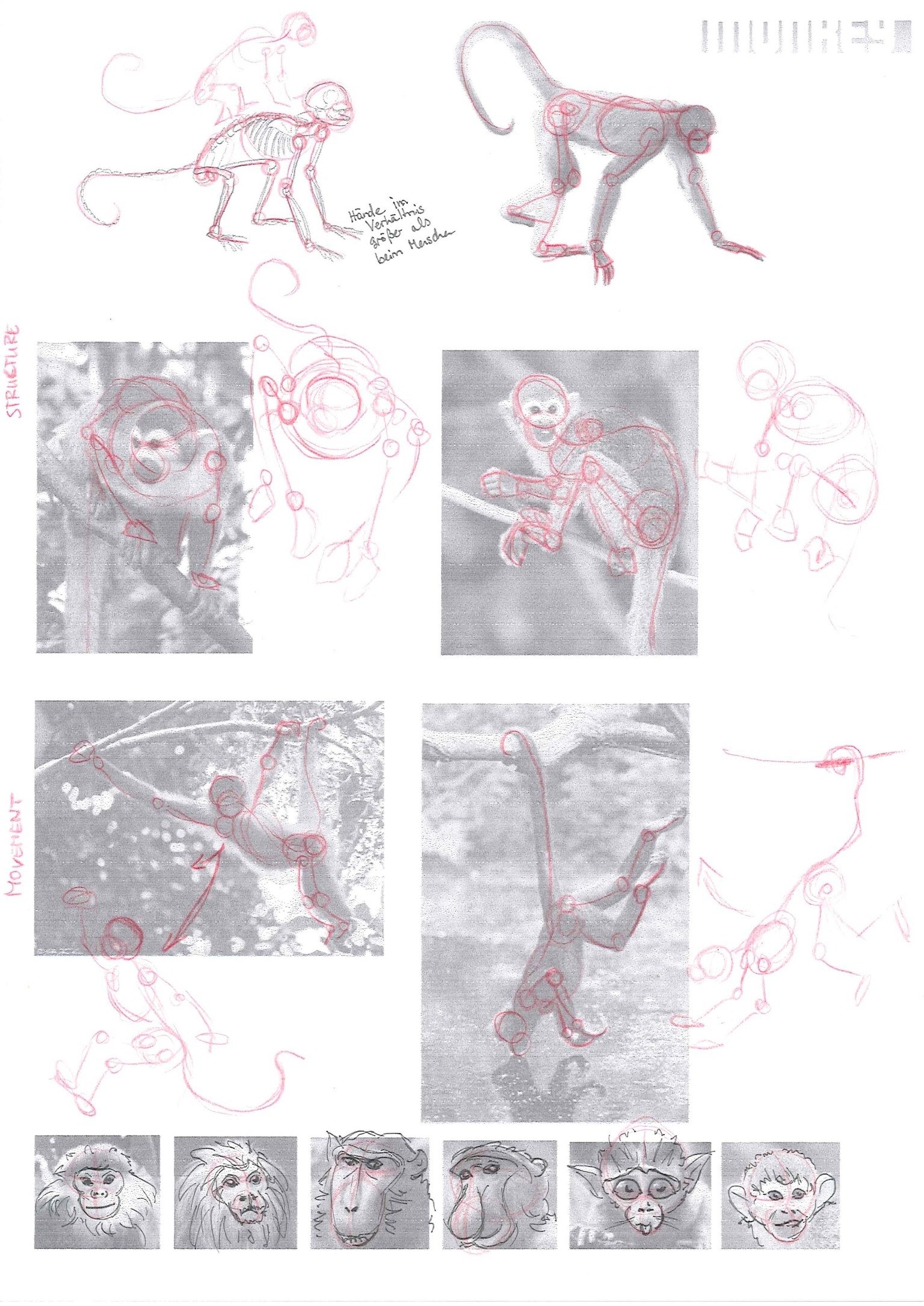 How to draw animals - image 3 - student project