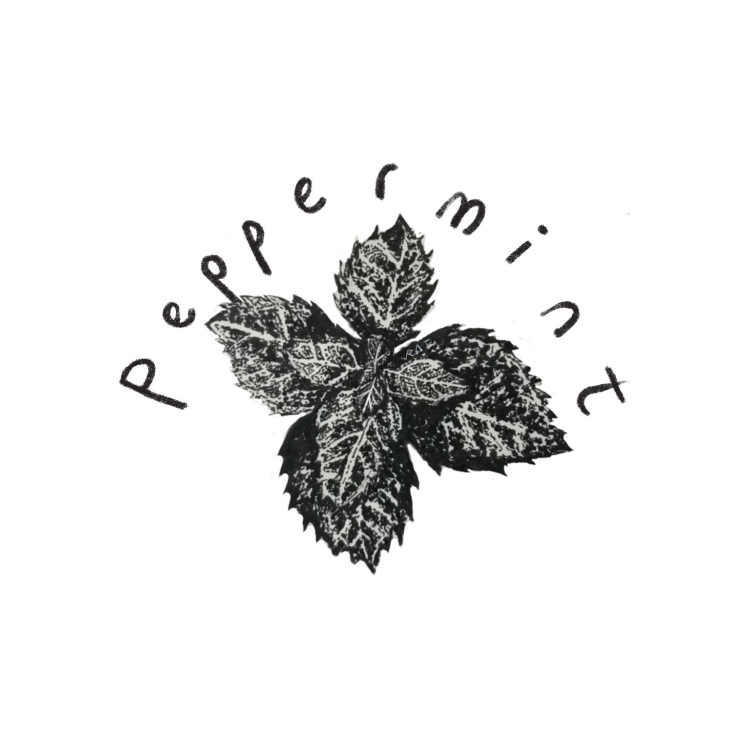 Drawing with Ink Pen - image 1 - student project