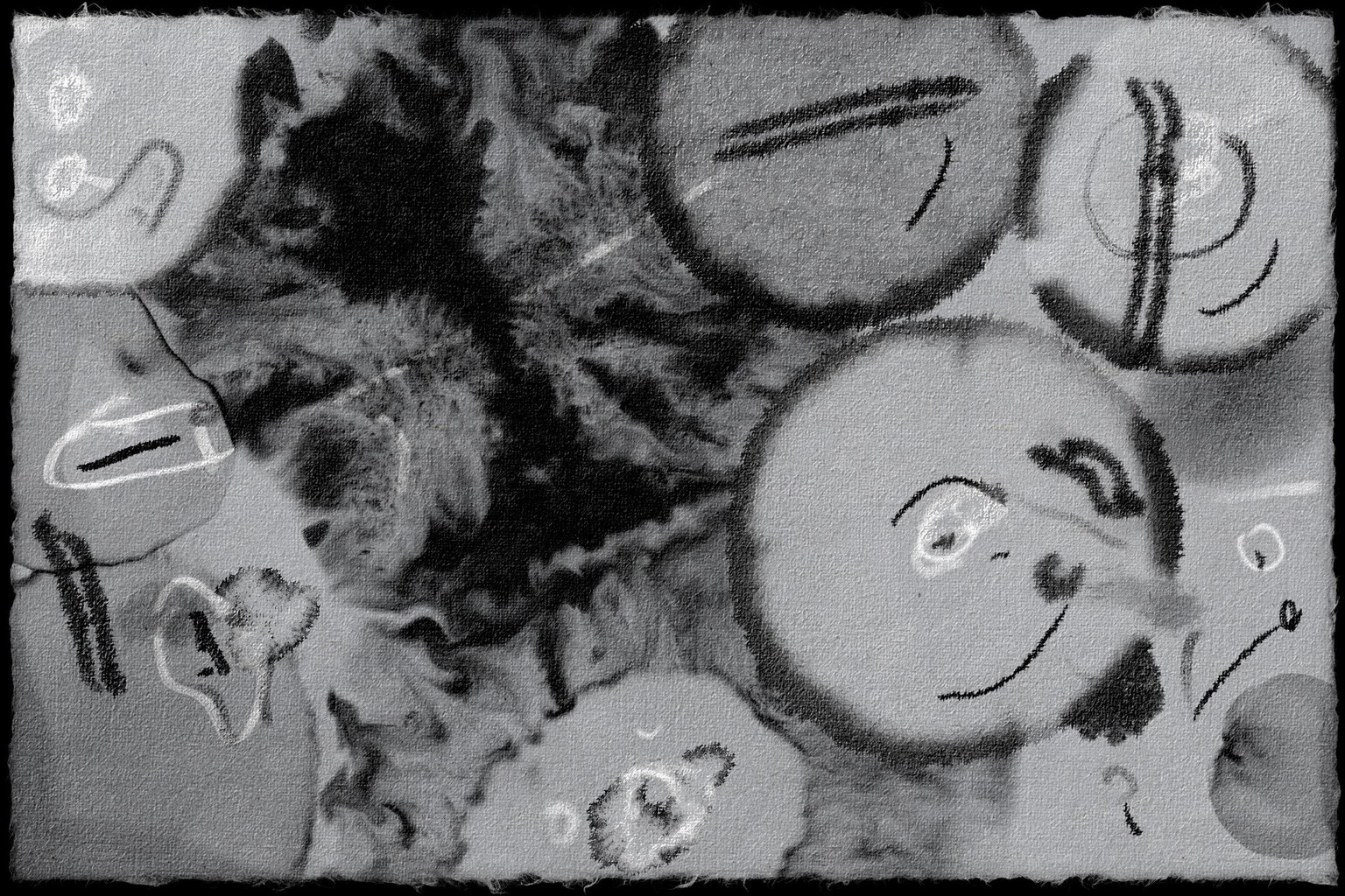 d - image 8 - student project