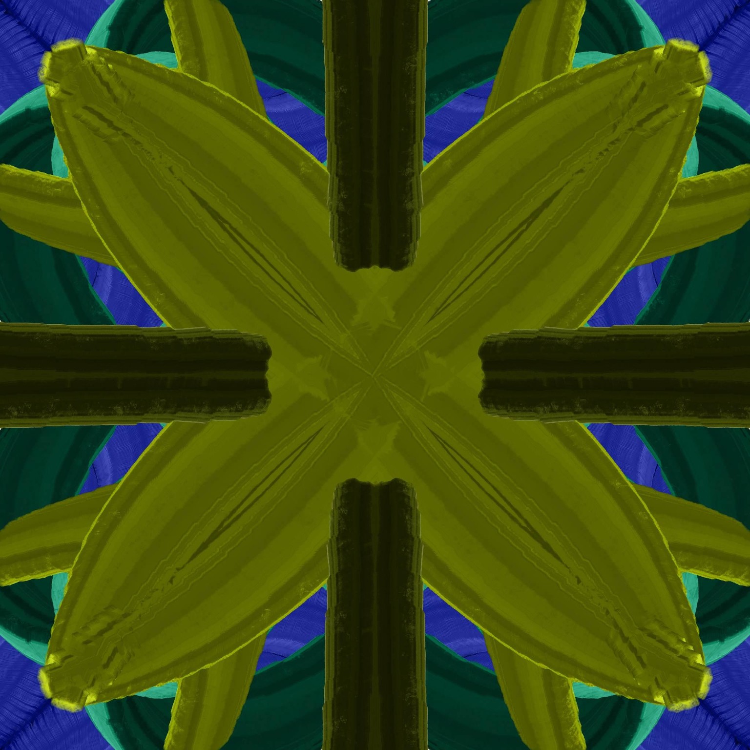 d - image 5 - student project