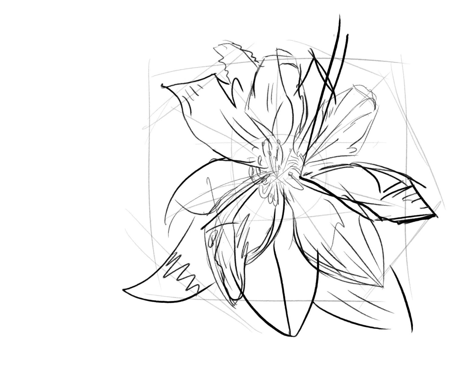 d - image 3 - student project