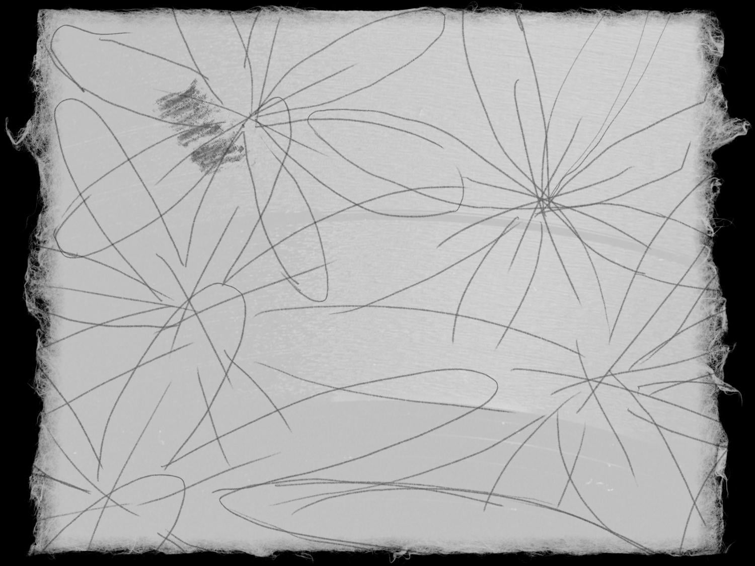 d - image 1 - student project