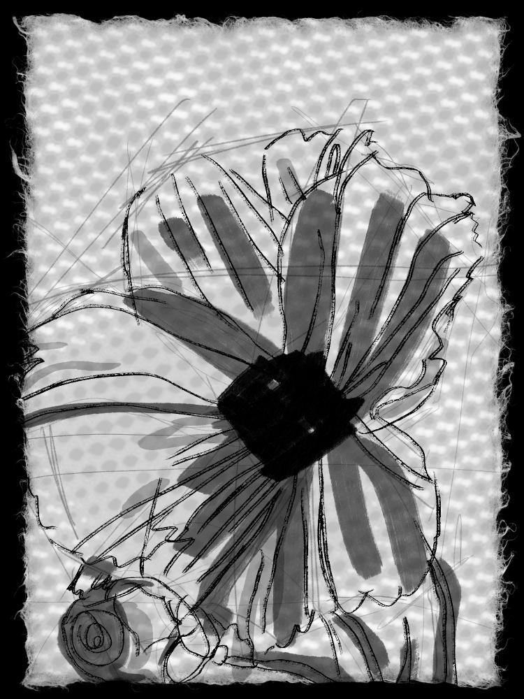 d - image 1 - student project