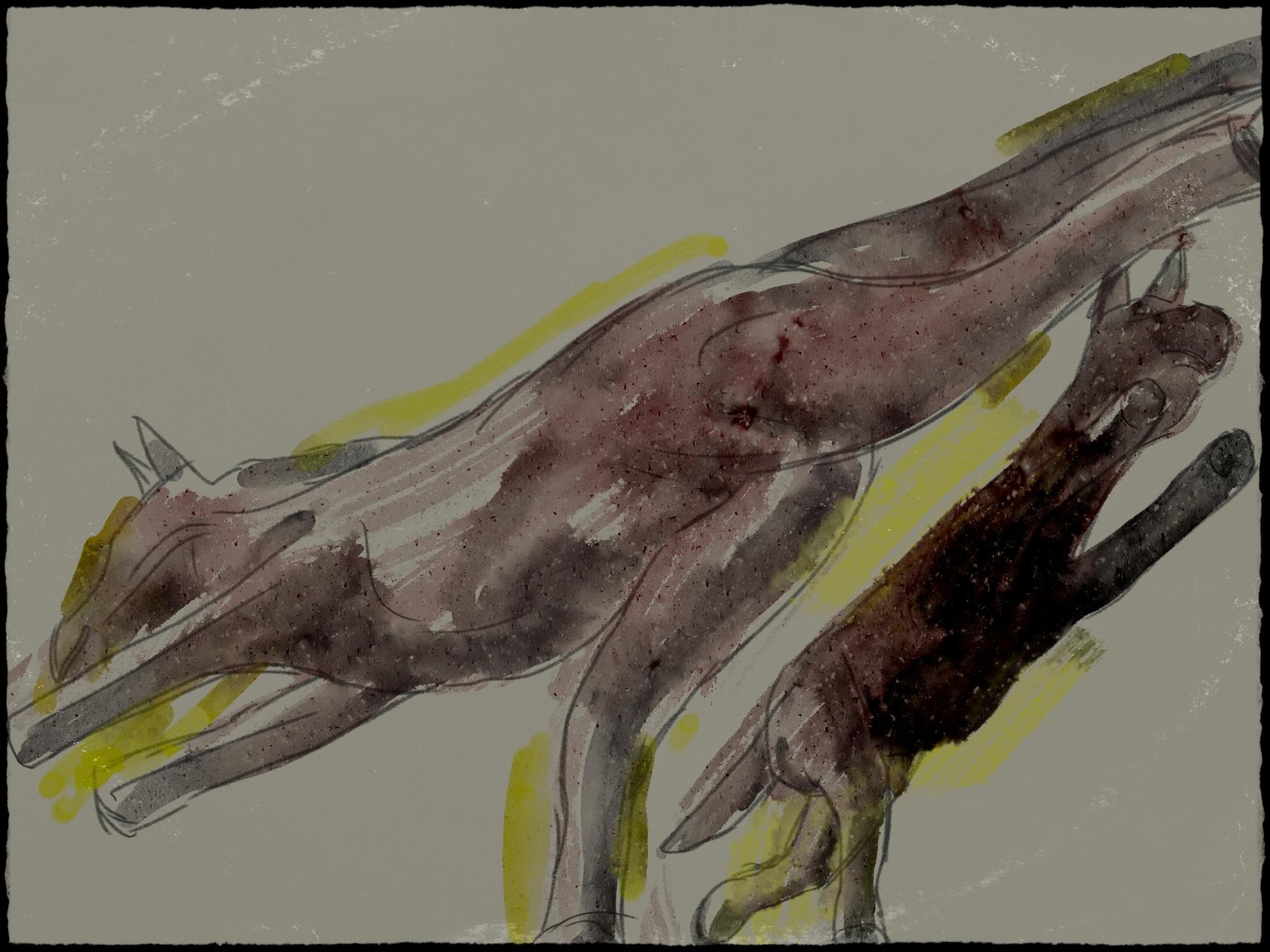d - image 1 - student project