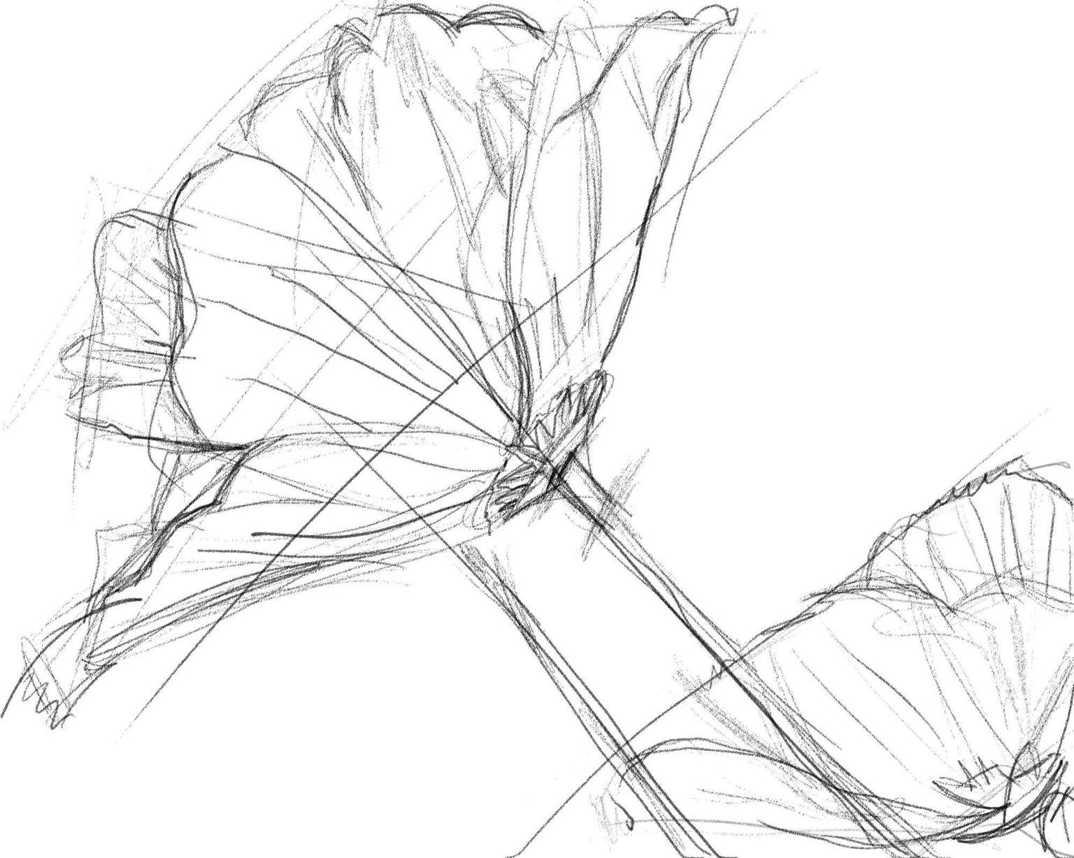 d - image 1 - student project