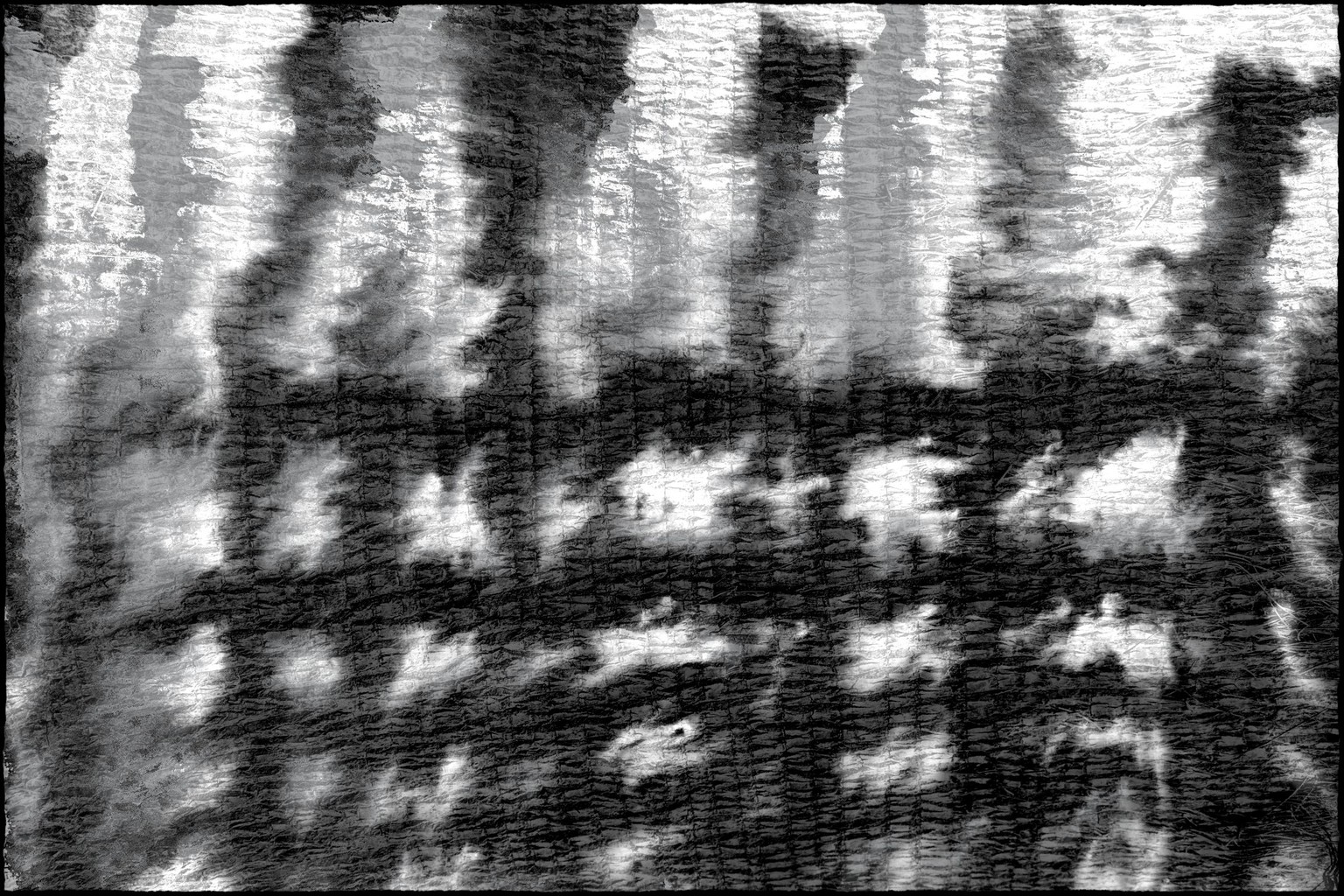 d - image 5 - student project