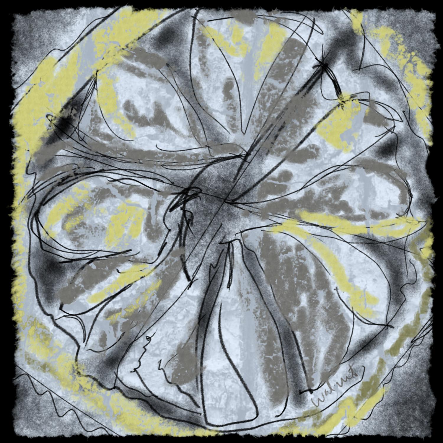 d - image 1 - student project