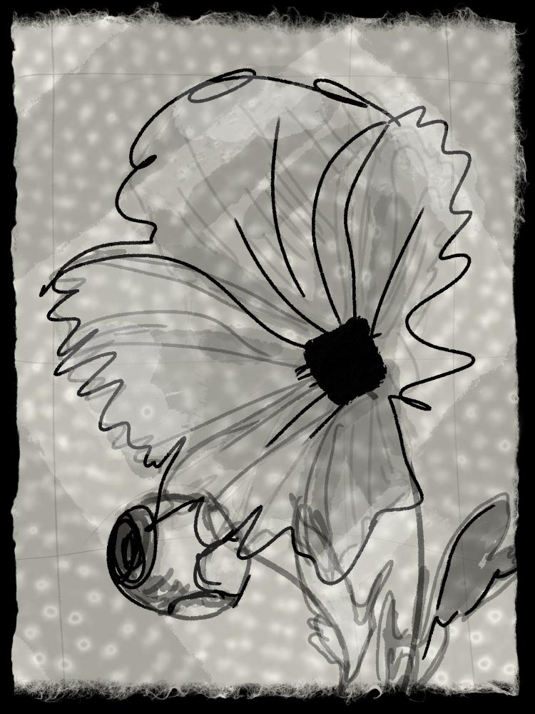 d - image 2 - student project