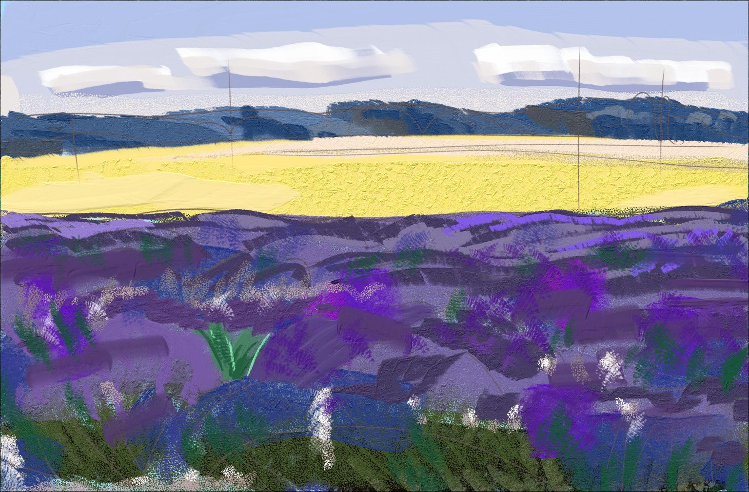 d - image 1 - student project