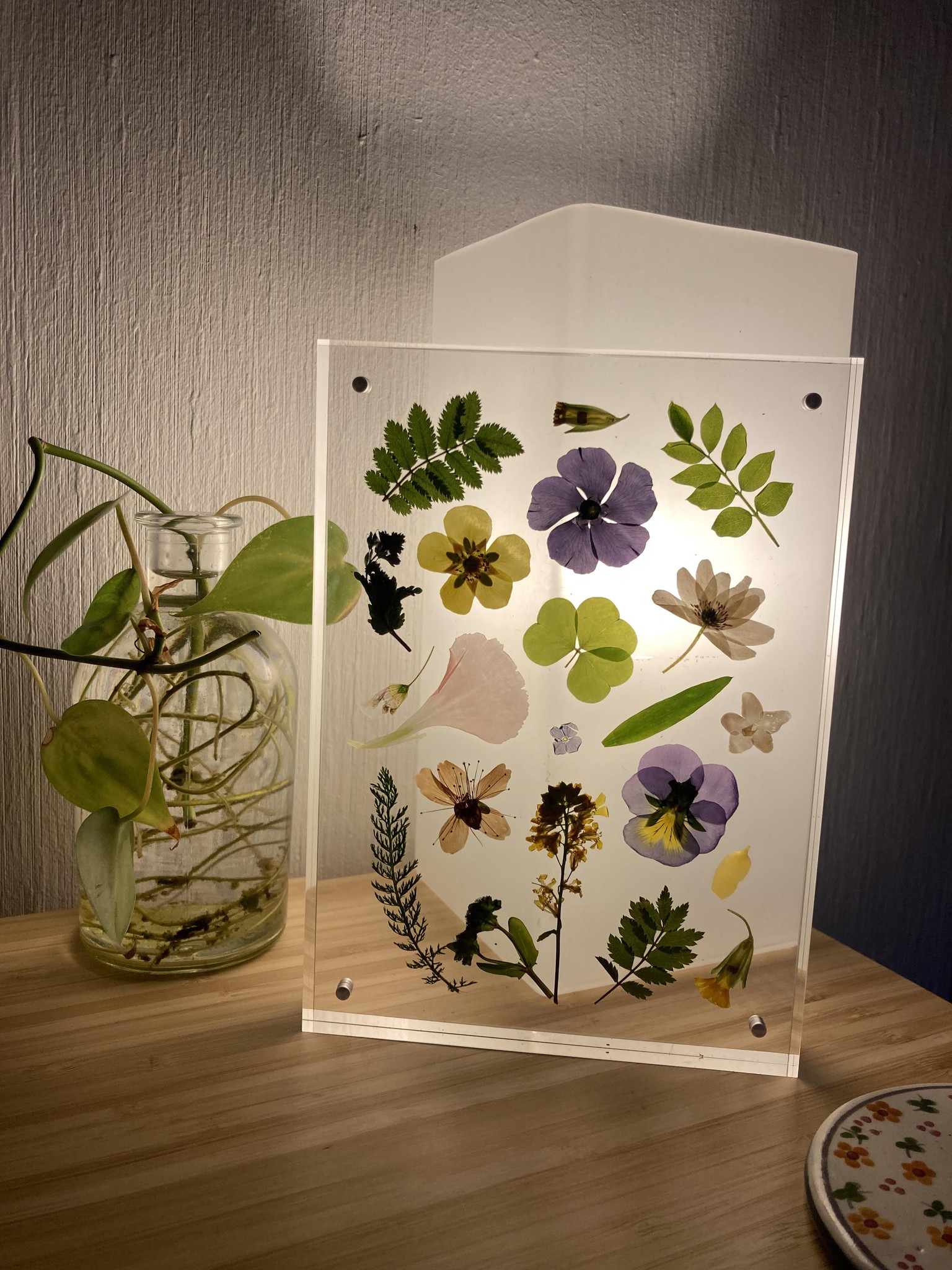 Pressed Flower Art - image 1 - student project