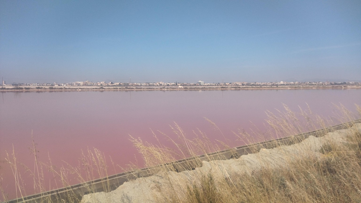 Muy project - image 1 - student project