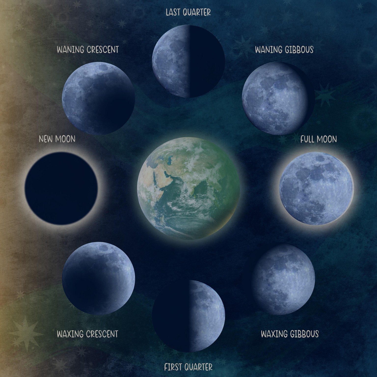 Moon Phase Illustration - image 1 - student project