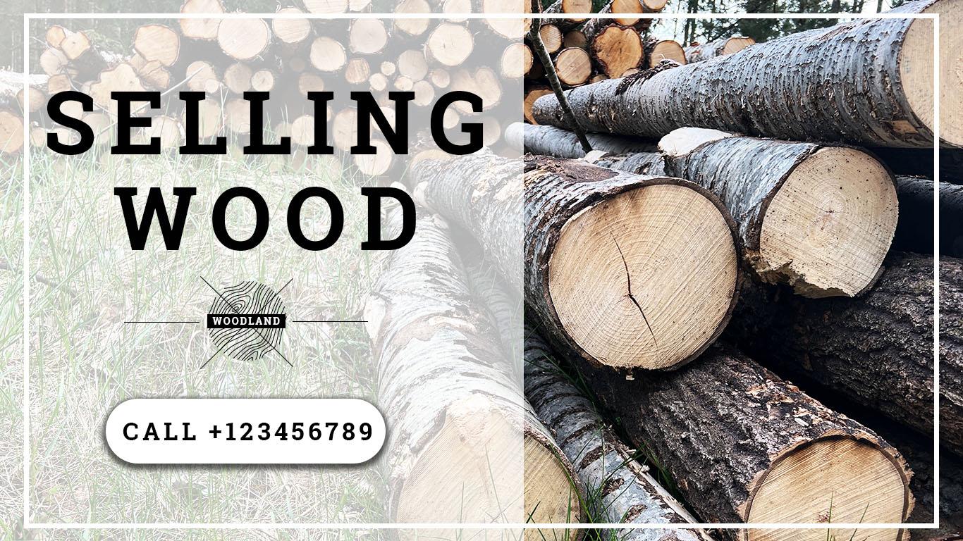 AD for wood sellers - image 1 - student project