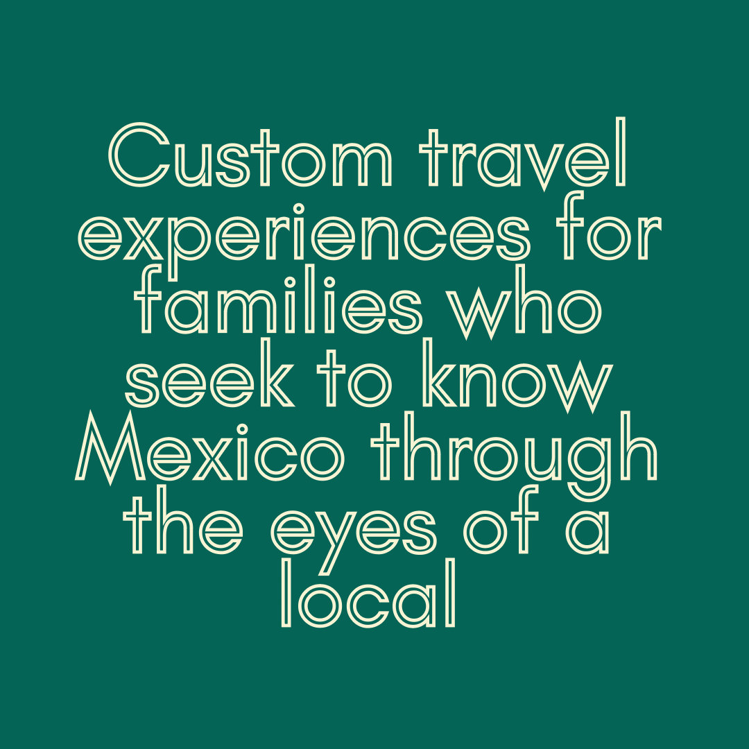 La Piña Rosa Travel Co. Logo Project - image 1 - student project