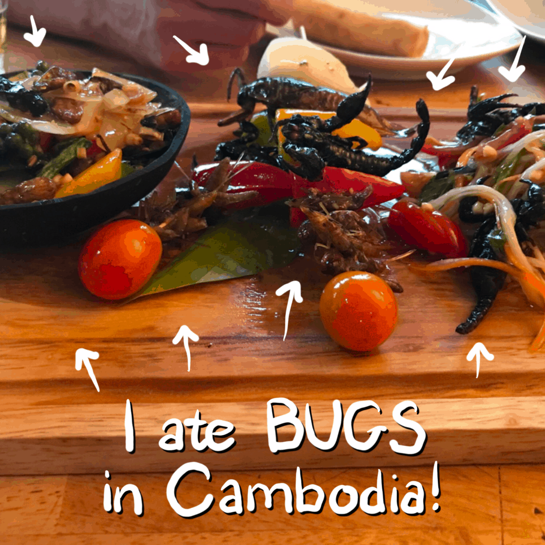 Animation from trip to Cambodia. - image 1 - student project