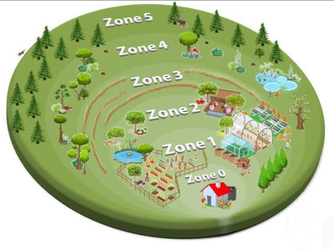 Permaculture - image 1 - student project