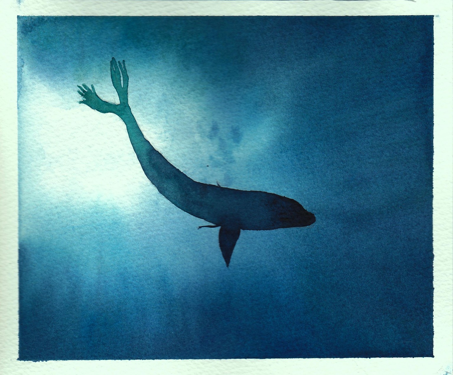 Polaroid series - image 2 - student project