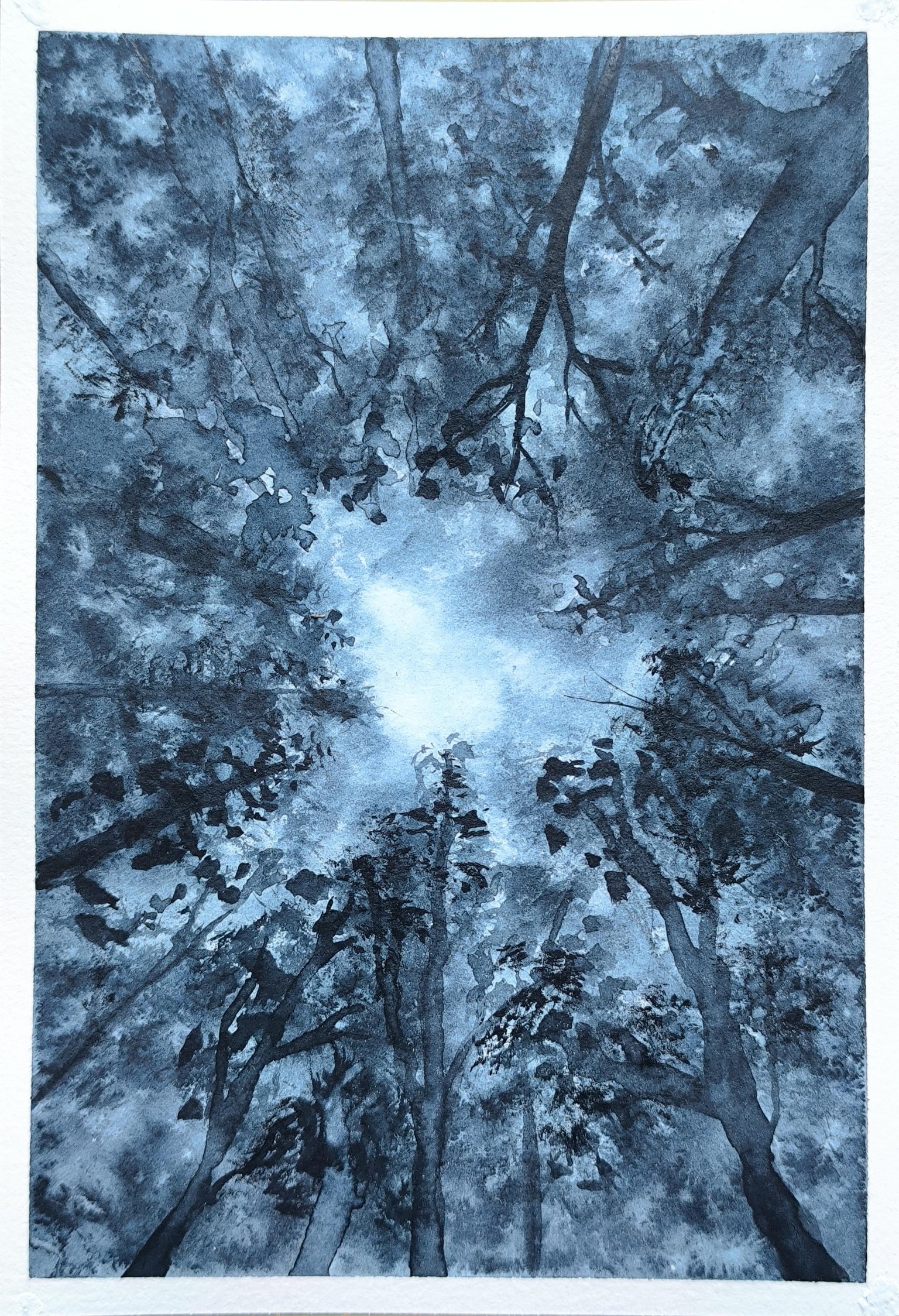 Polaroid series - image 20 - student project