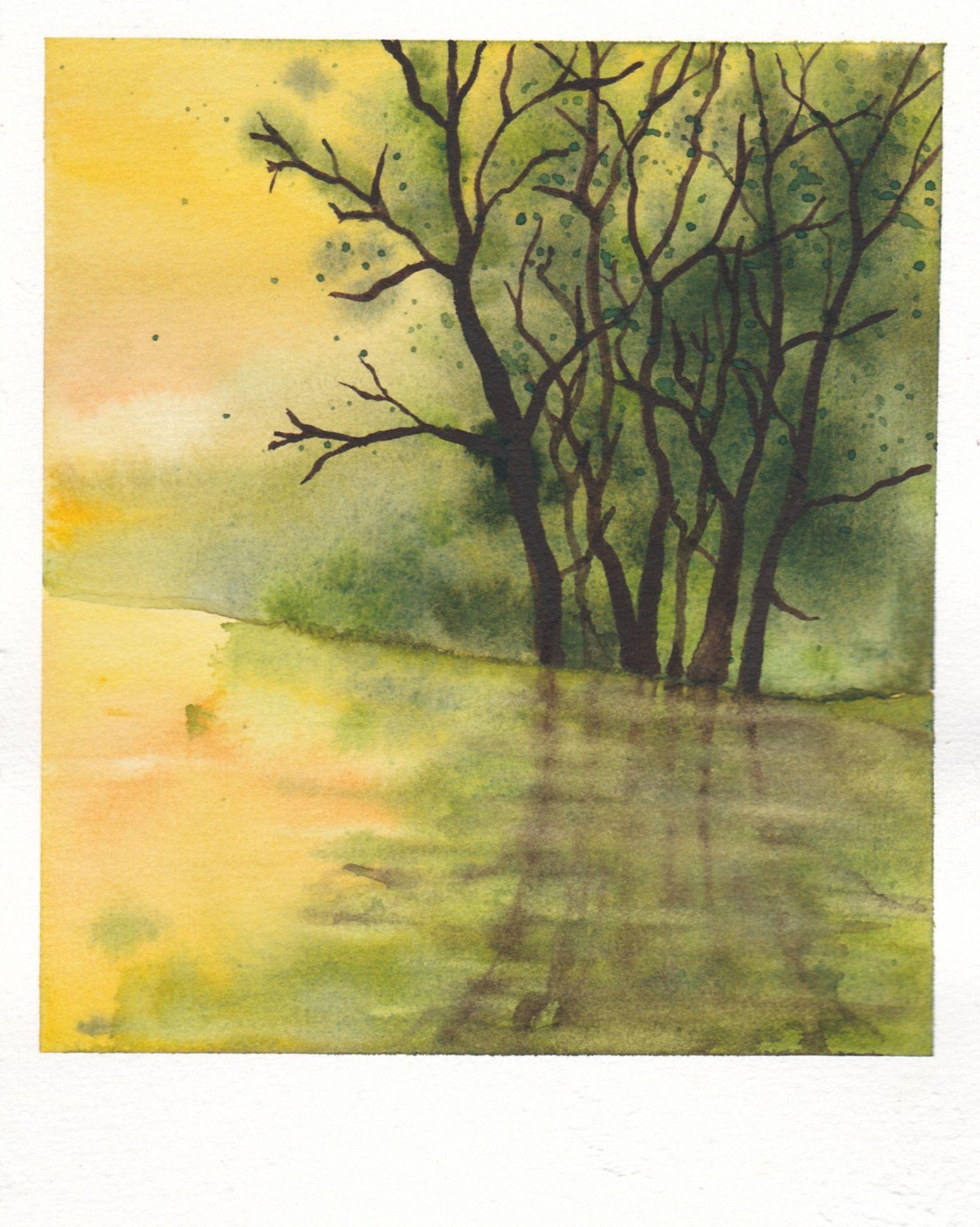 Polaroid series - image 14 - student project