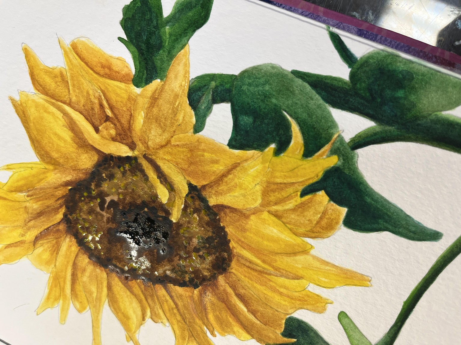 Watercolor Sunflower - image 2 - student project