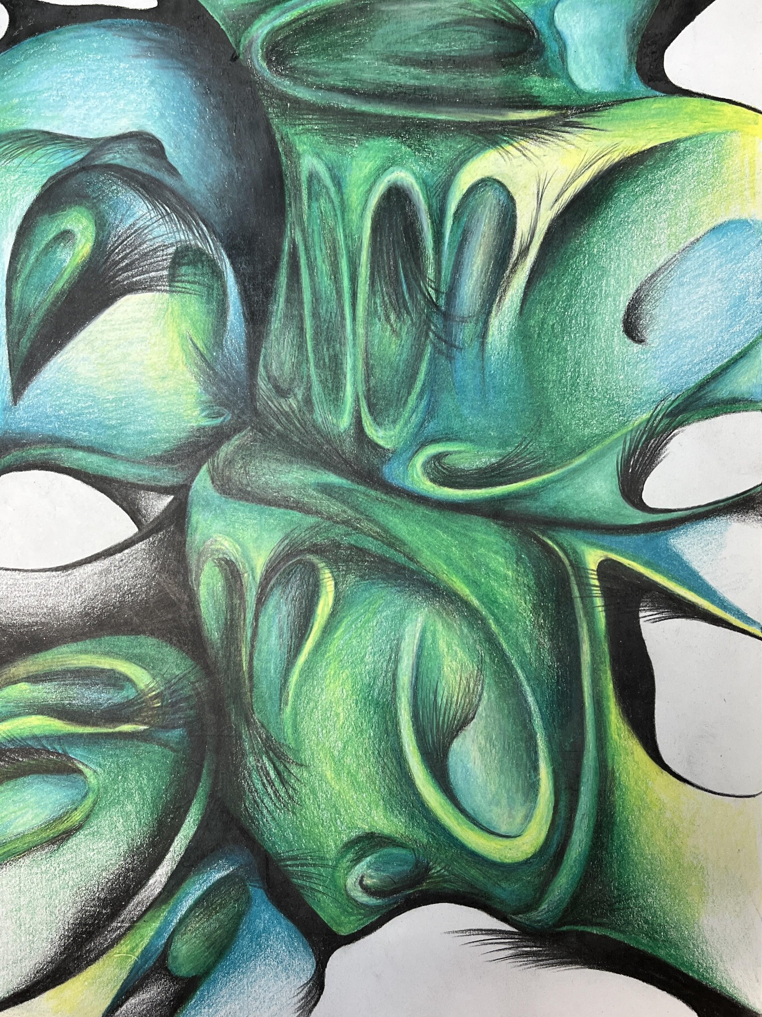 Colored Pencil Adventures - image 2 - student project