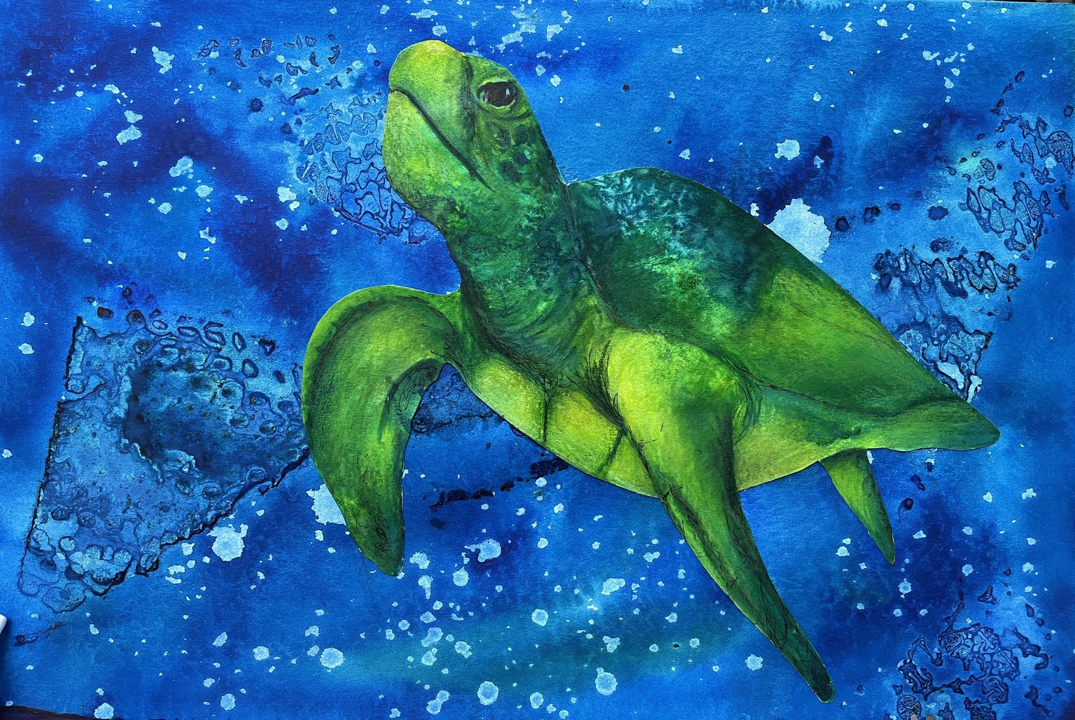 Sea Turtle, Octopus, Sea Horse, and Puffin - image 5 - student project