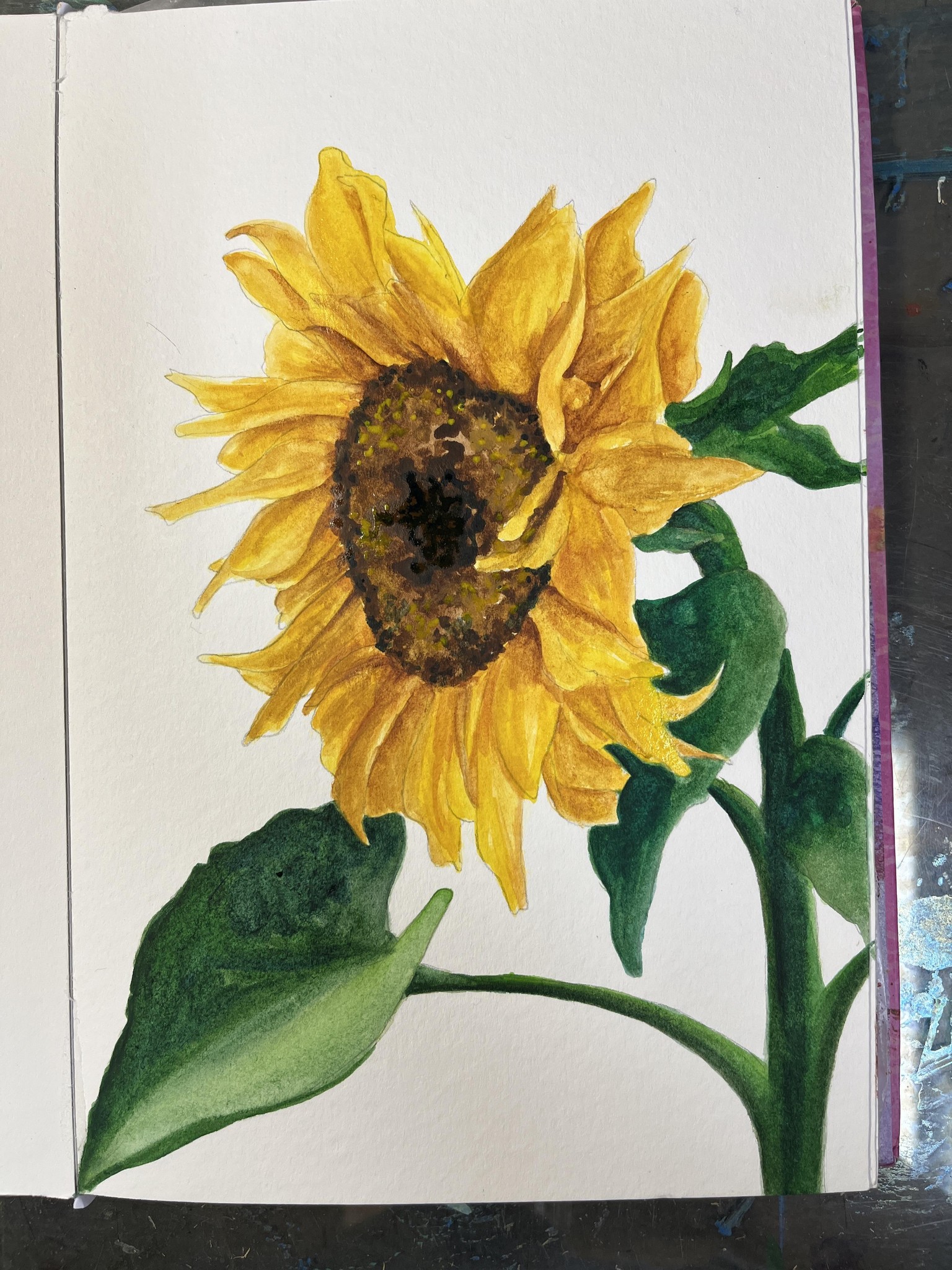 Watercolor Sunflower - image 1 - student project