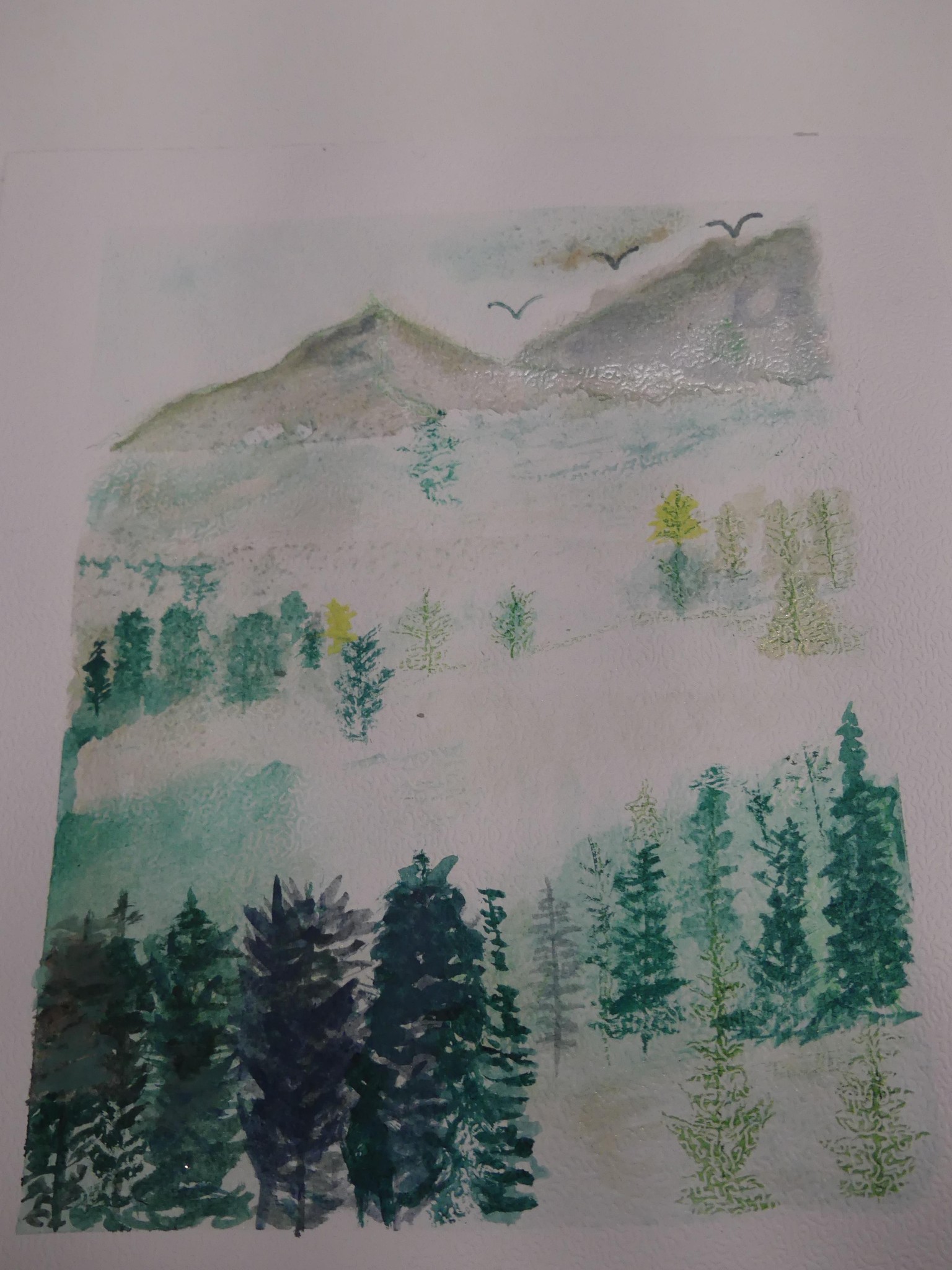Capturing Nature's Calm - image 5 - student project