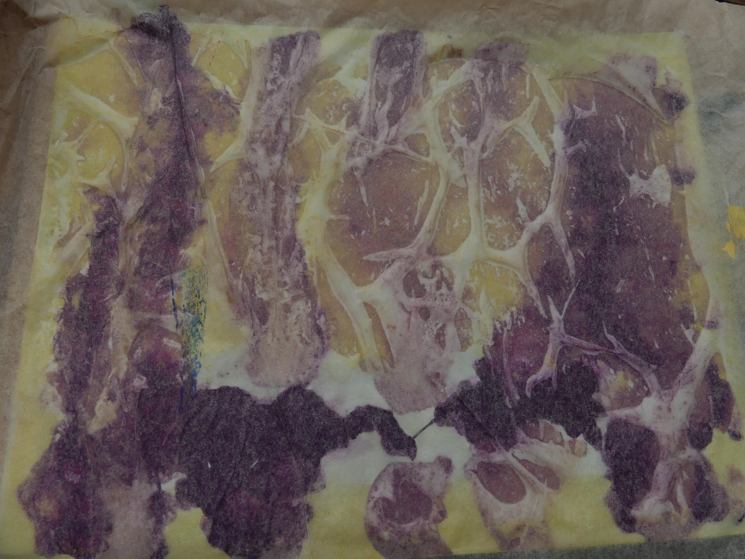 Creative Flow in 7 Days - image 1 - student project