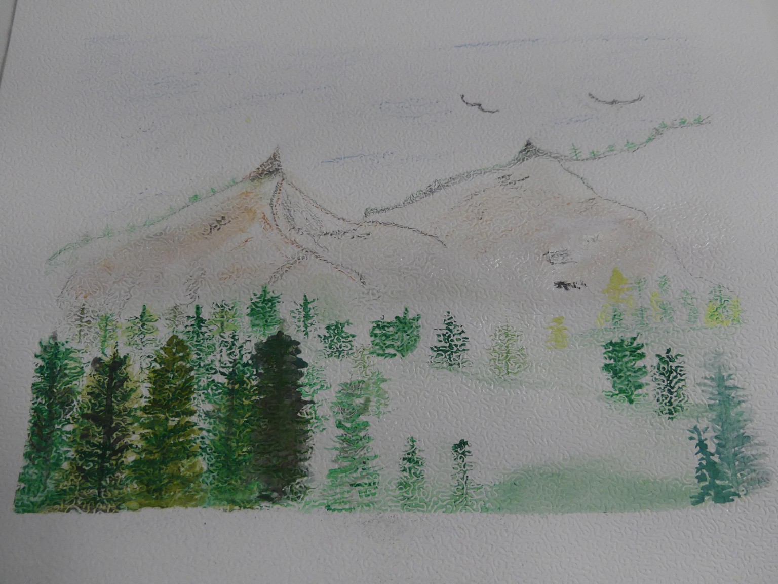 Capturing Nature's Calm - image 2 - student project