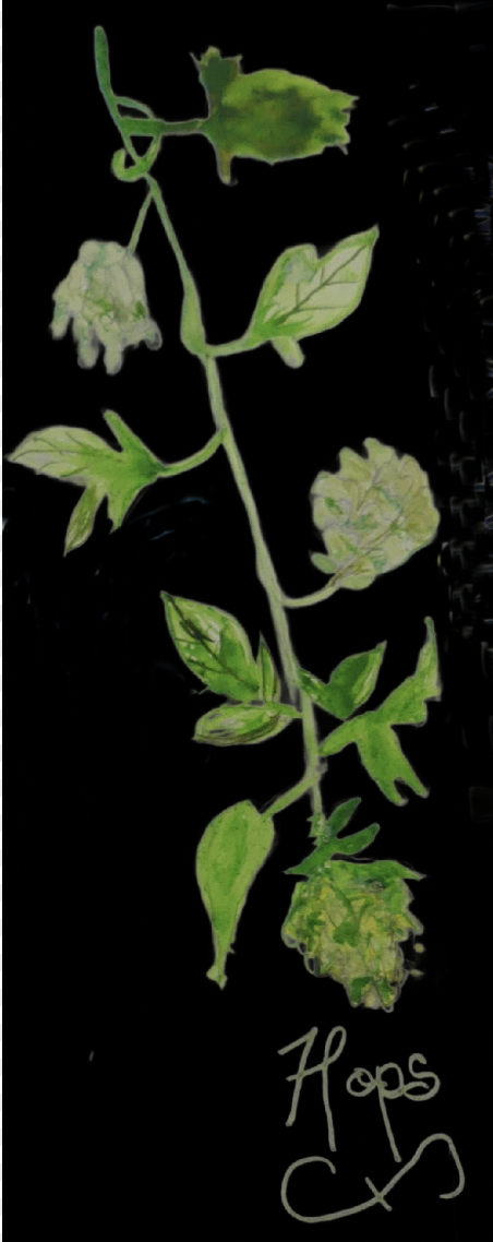 #ShowYourArt_Scholarship2024 - image 1 - student project