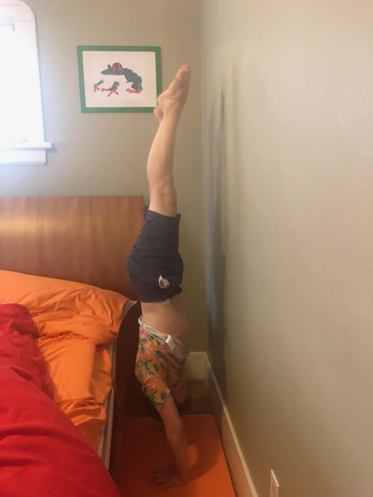 Lu & Luke Handstands 101 - image 1 - student project