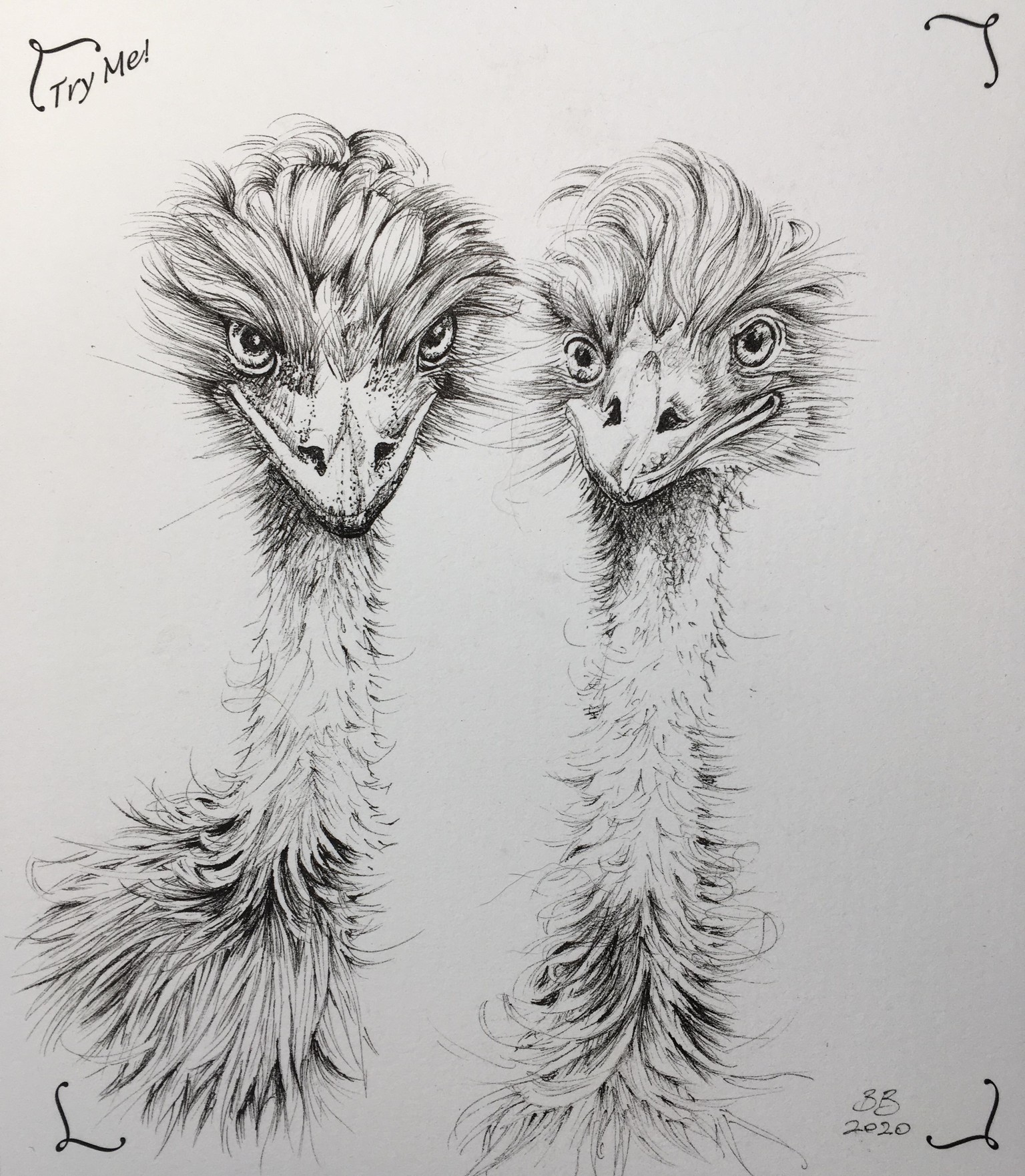 Friends - image 1 - student project