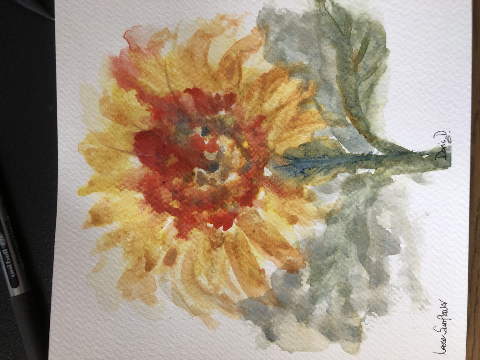splashes of colour - image 1 - student project
