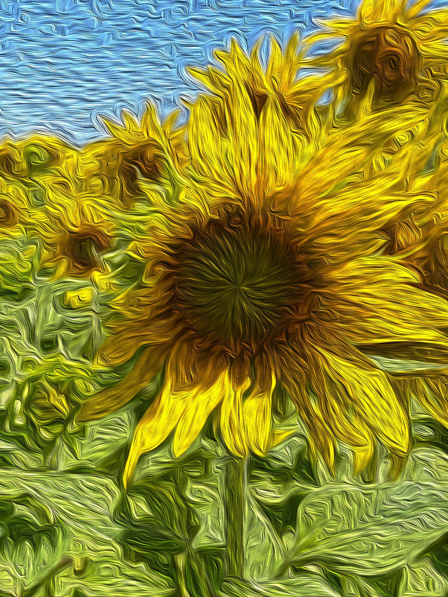 ADOBE PHOTOSHOP CC - ESSENTIALS - image 3 - student project