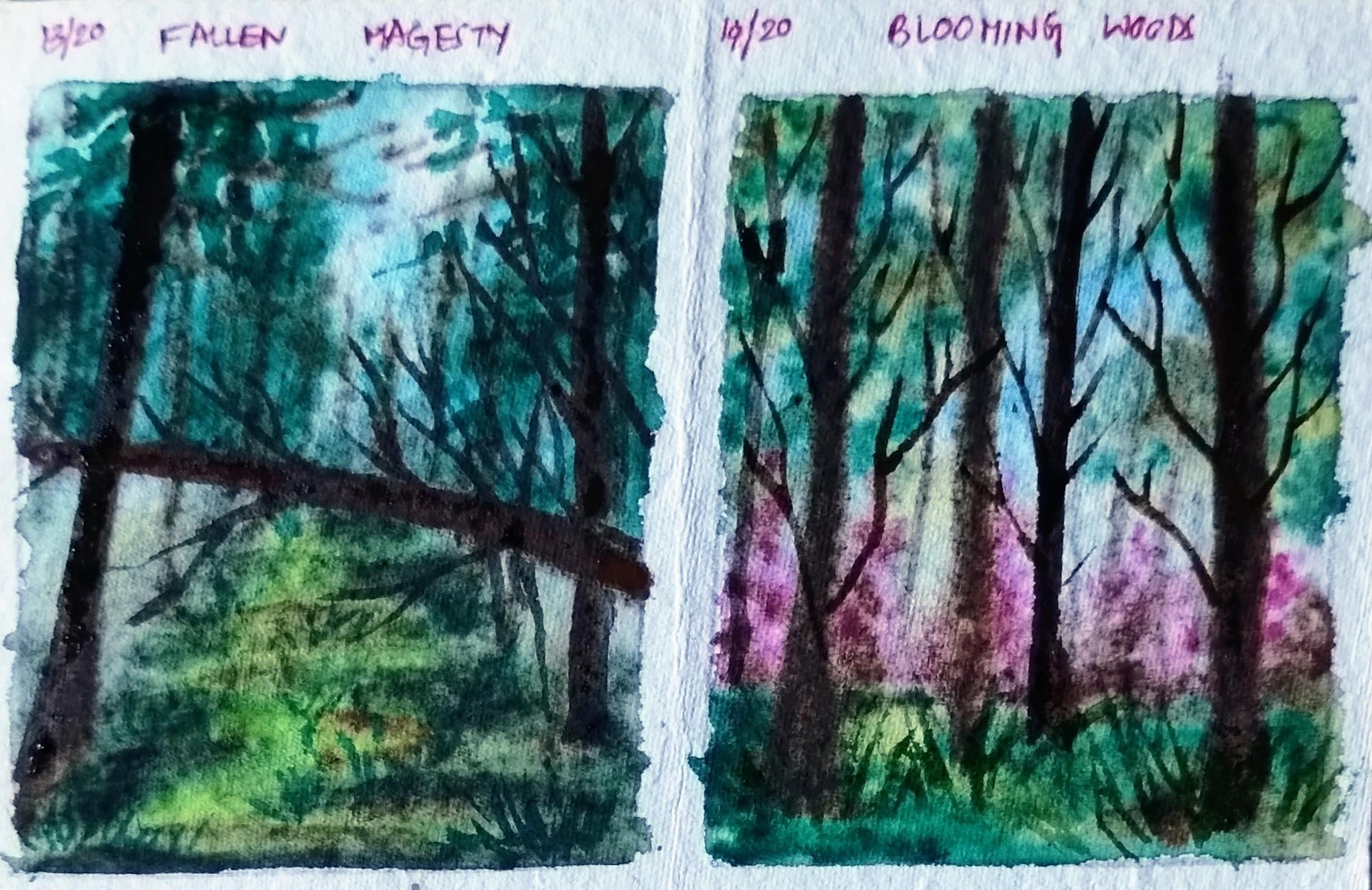 20 day watercolor forest with Shanan - image 1 - student project