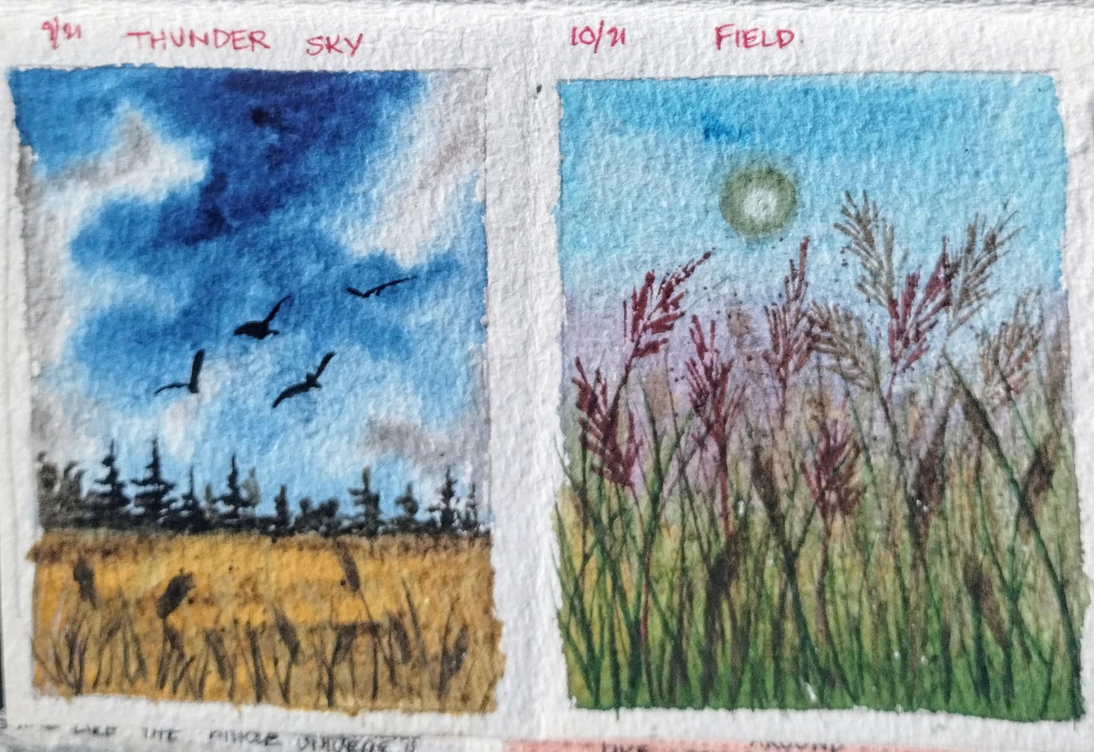 21 days blue skies with Umashree - image 5 - student project