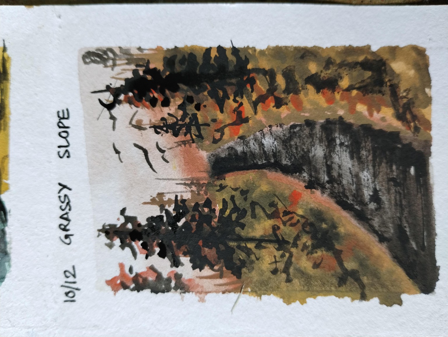 12 day gouache with Shanan - image 8 - student project