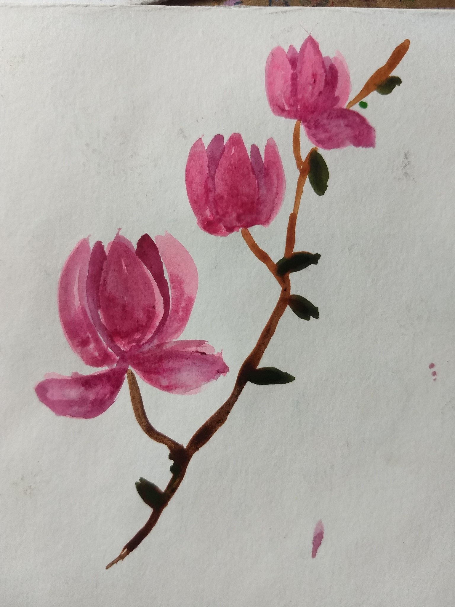 10 days watercolor spring flowers with vinita - image 4 - student project