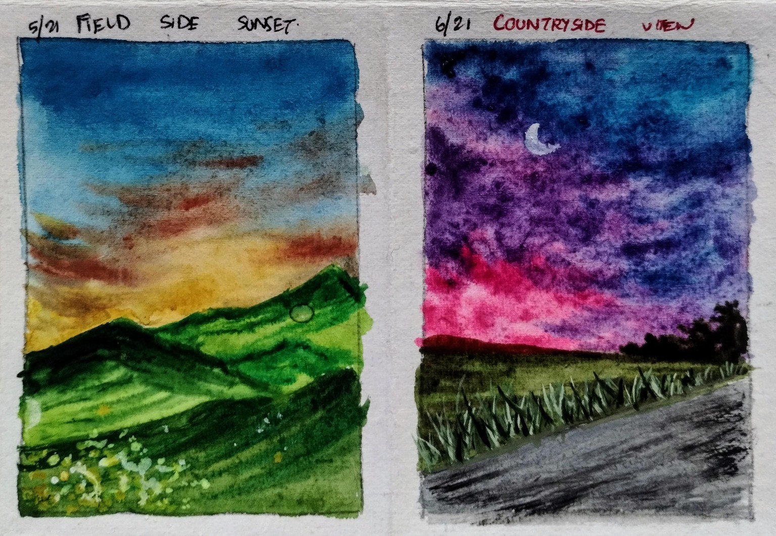 21 days Watercolor challenge with umashree - image 11 - student project