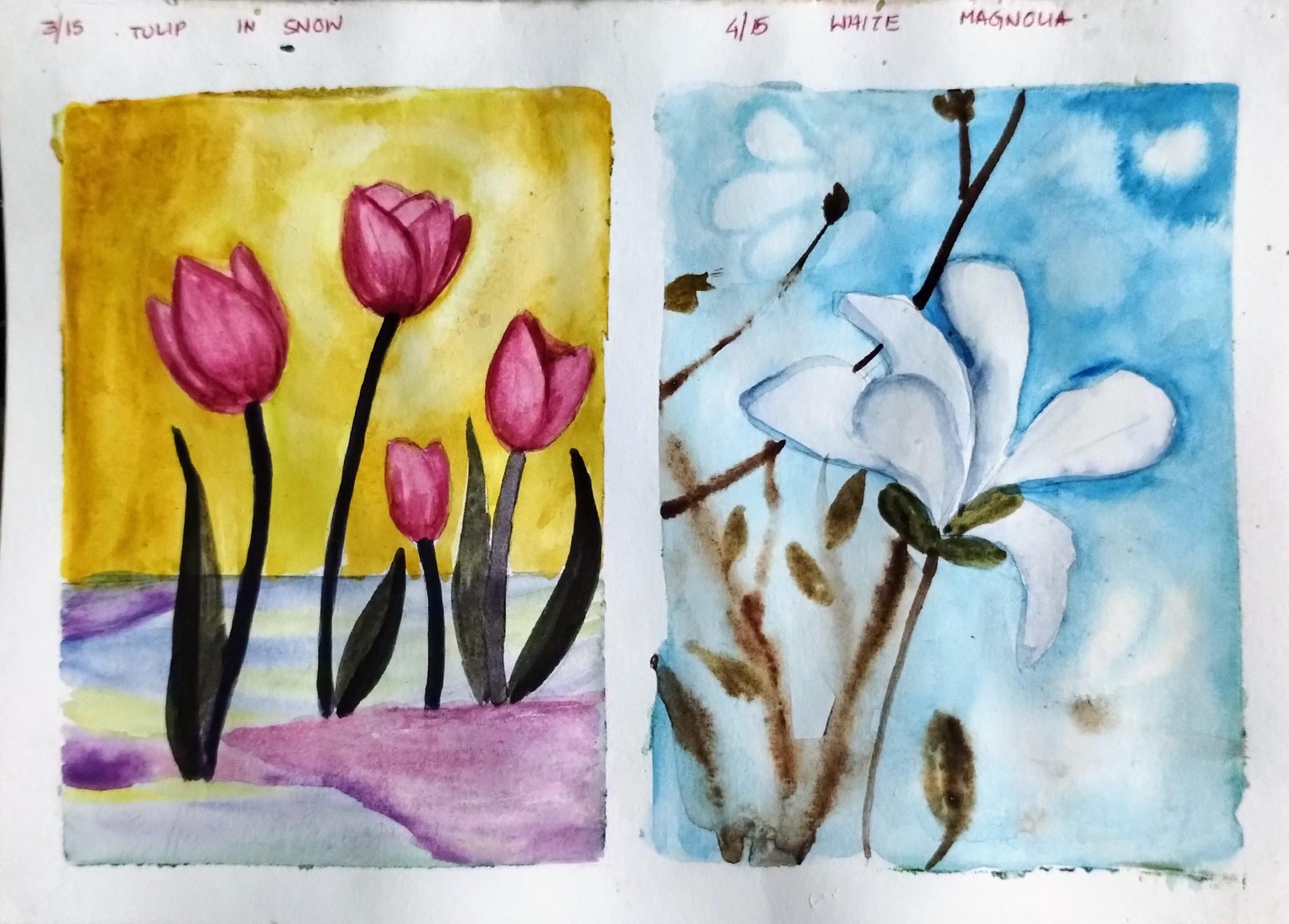 Blossom to bloom with Geethu - image 8 - student project