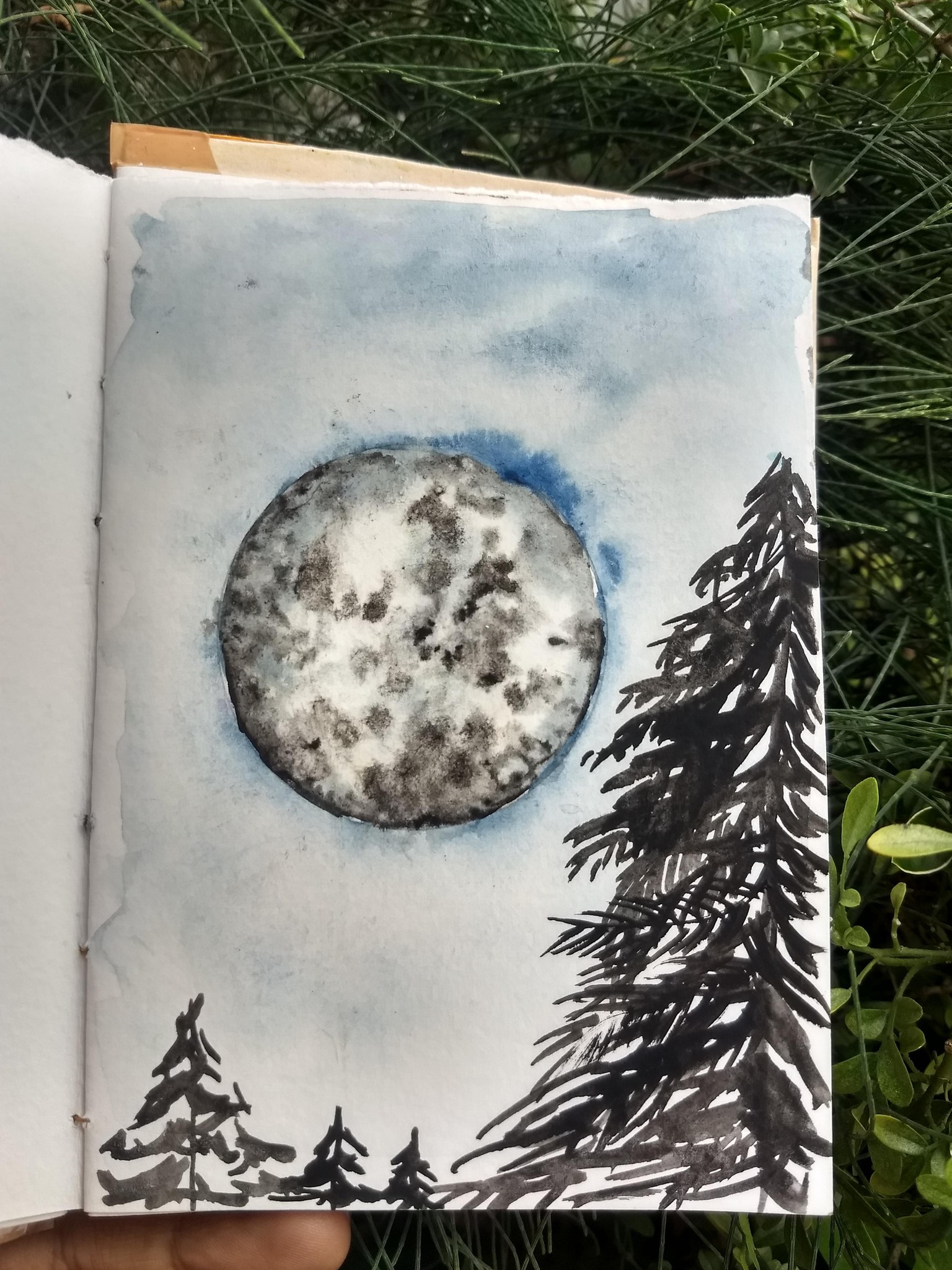 50 days watercolor with Umashree - image 27 - student project