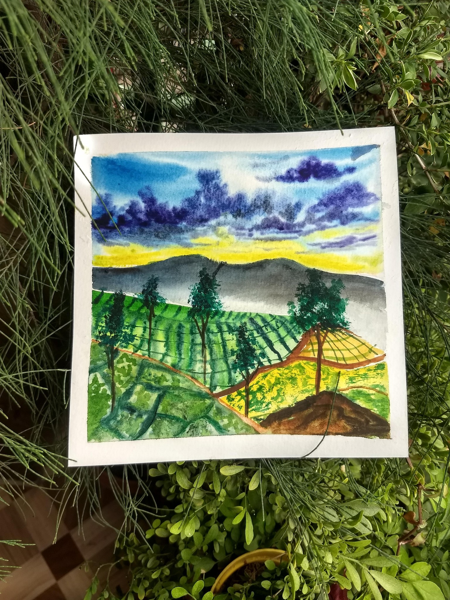 Tea garden - image 2 - student project