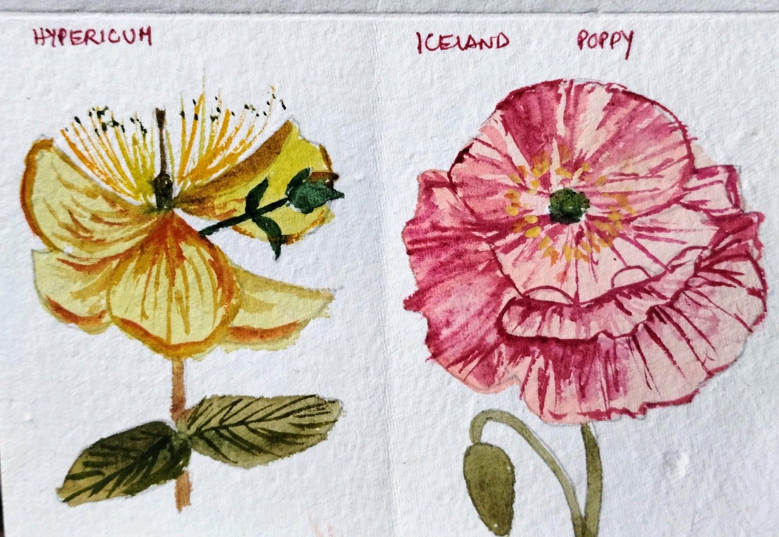 A to z watercolor flowers with Dhritikana - image 6 - student project