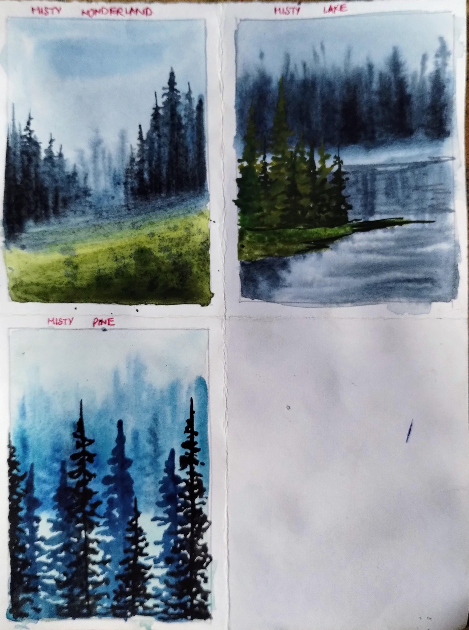 Gorgeous watercolor misty pines with Swathi - image 2 - student project