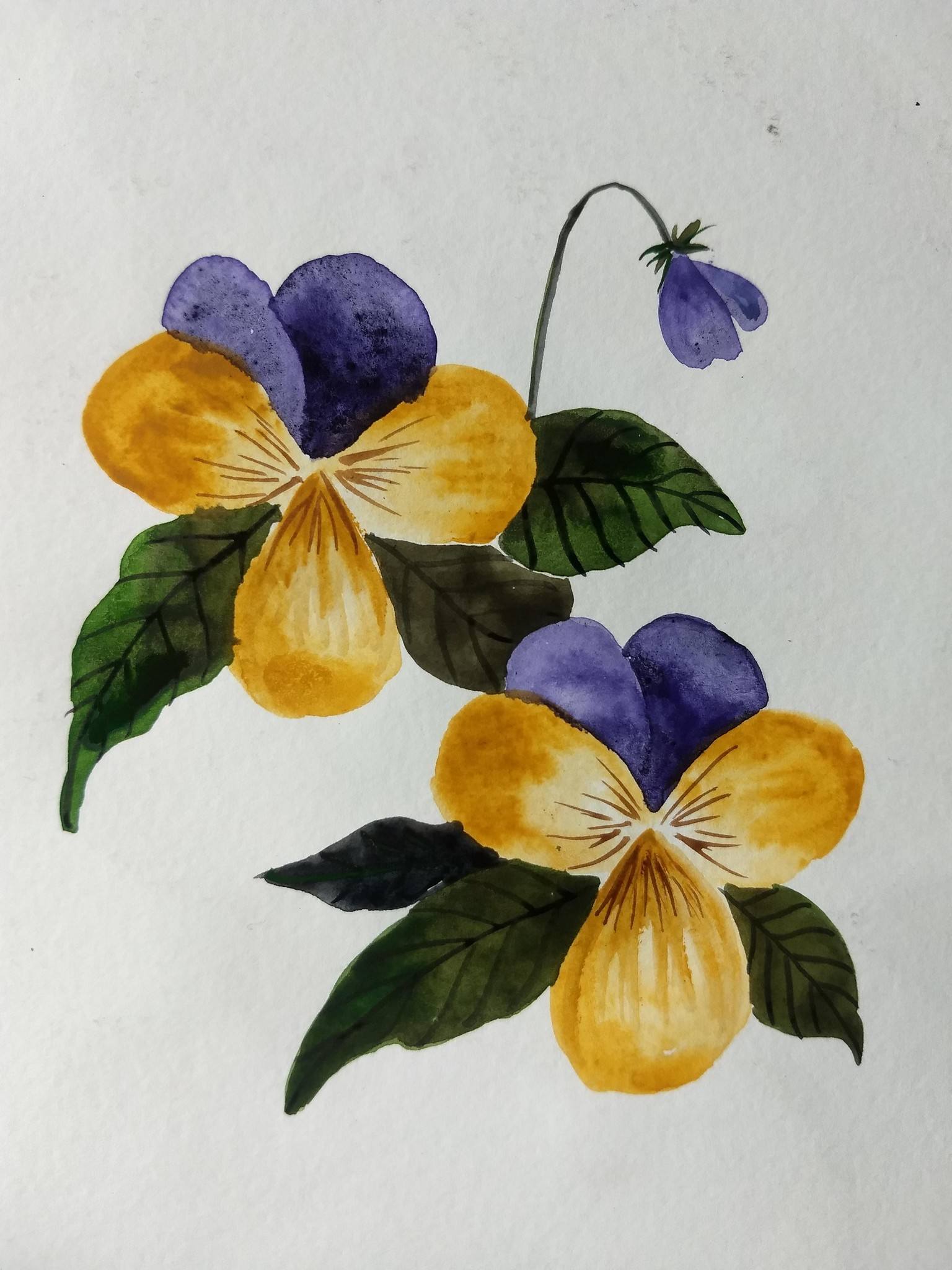 10 days watercolor spring flowers with vinita - image 10 - student project